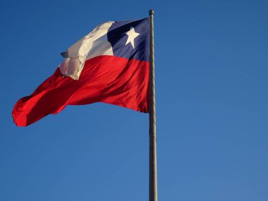 Palacio de la Moneda büyük iki yüzüncü yıl bayrağı