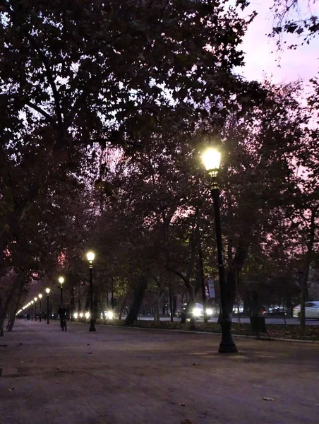 森林公园在夜间 在圣地亚哥智利 — 图库照片