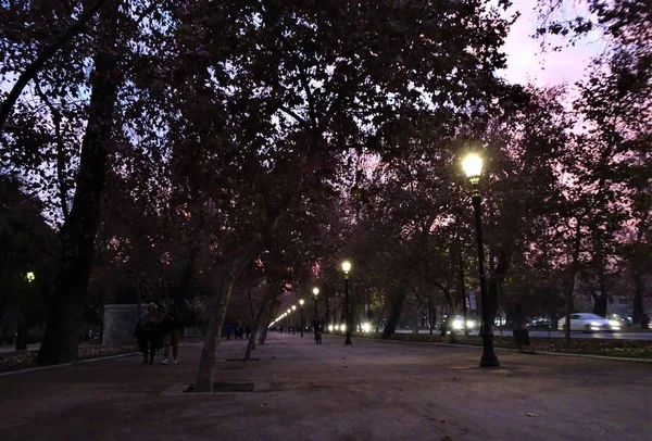 Forest Park Nocą Santiago Chile — Zdjęcie stockowe