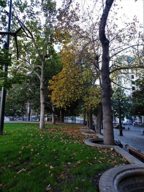 Buenos Aires büyük botanik bahçesi