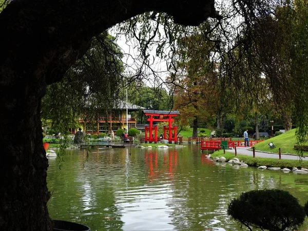 Ogród Japoński Położony Buenos Aires — Zdjęcie stockowe
