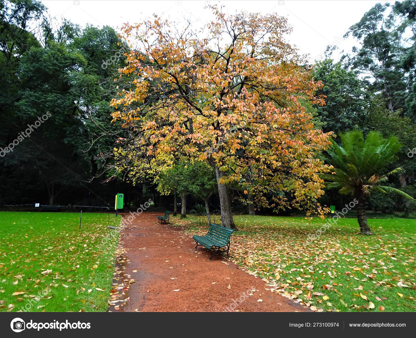 Beautiful Botanical Garden Buenos Aires Stock Photo