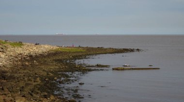 Montevideo'da bir plaj olan Pocitos Plajı tamamen Pocitos semtinde yer almaktadır. Rio de la Plata kıyısında yer alır ve tüm Rambla Repblica del Per sınırları.