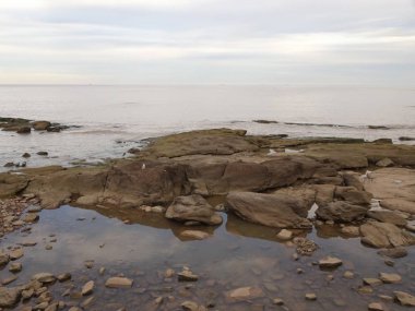 Montevideo'da bir plaj olan Pocitos Plajı tamamen Pocitos semtinde yer almaktadır. Rio de la Plata kıyısında yer alır ve tüm Rambla Repblica del Per sınırları.