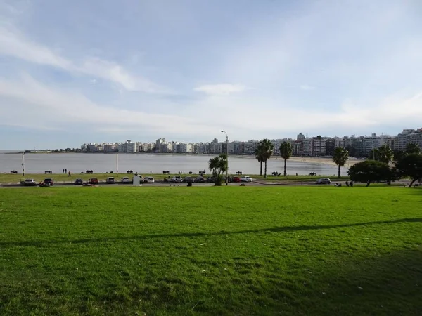 Playa Pocitos Una Playa Montevideo Está Totalmente Dentro Del Barrio — Foto de Stock