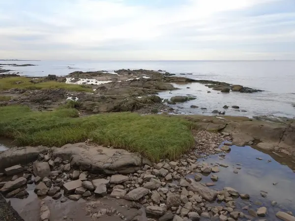 Spiaggia Pocitos Una Spiaggia Montevideo Trova Interamente Nel Quartiere Pocitos — Foto Stock