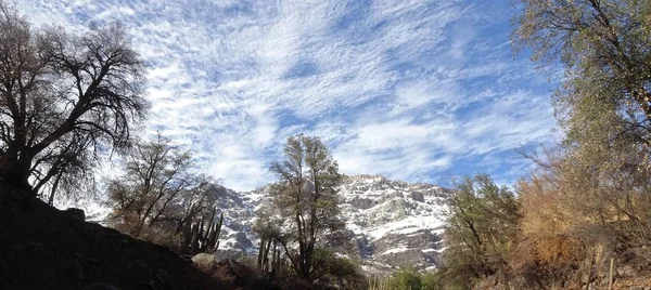 Cajon Del Maipo Farellones Mirador Los Condores Cordillera Los Andes — Stok fotoğraf