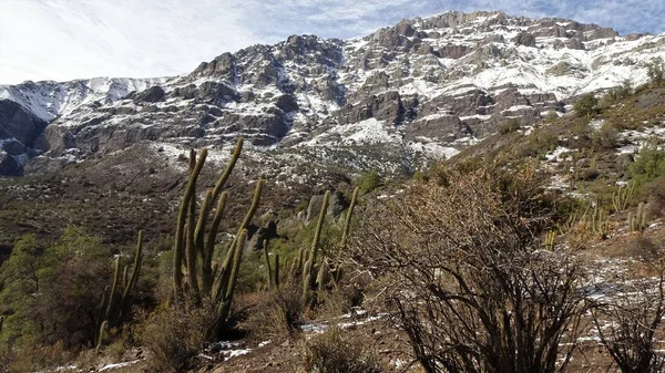 Cajon Del Maipo Farellones Und Mirador Los Condores Der Cordillera — Stockfoto