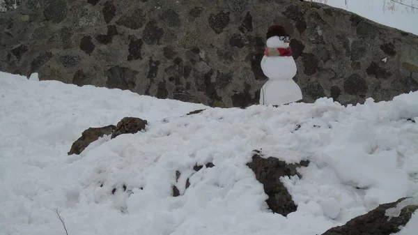 美しい古典的な冬とクリスマスの雪だるま — ストック写真