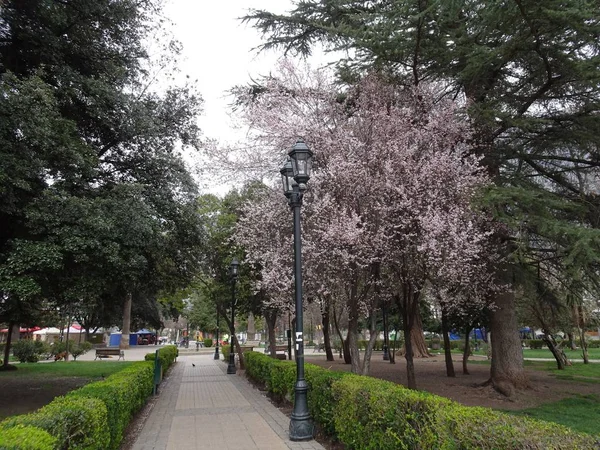 Centro Histórico San José Maipo Cajón Del Maipo Chile —  Fotos de Stock