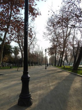 Santiago de Chile Orman Parkı, Sonbaharda