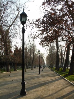Santiago de Chile Orman Parkı, Sonbaharda