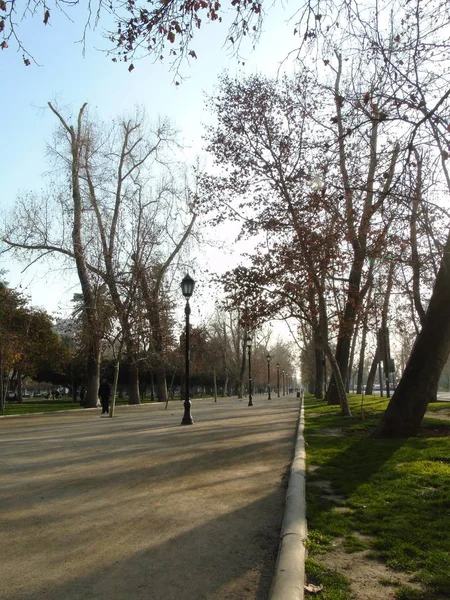 Bospark Van Stad Santiago Chili Herfst — Stockfoto