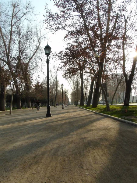 Park Leśny Miasta Santiago Chile Jesienią — Zdjęcie stockowe