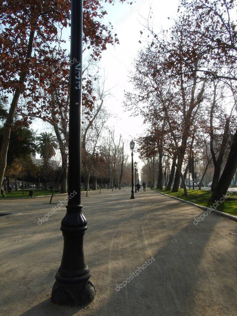 Forest Park of the city of Santiago de Chile, in autumn