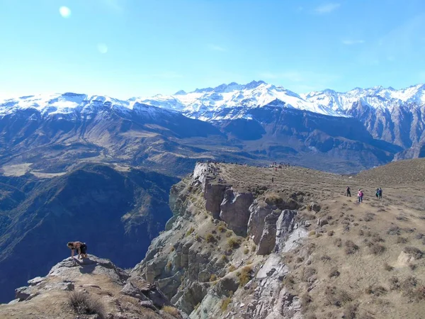 Condor Viewpoint Andes Cajon Del Maipo — ストック写真