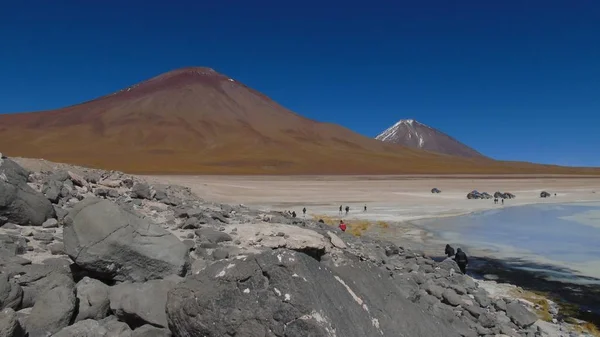 Altopiani Boliviani Potosi Bolivia — Foto Stock