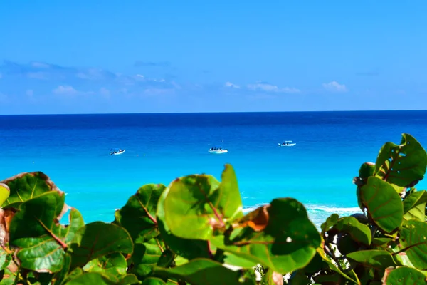 Paisaje de mar turquesa en Tulum Mexico