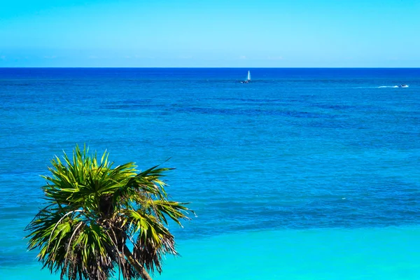 Mar Caribe Tulum Mxico — Foto de Stock