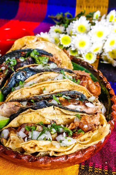 Domuz eti carnitas tacos sarı ve mavi Mısır tortilla renkli tablo içinde