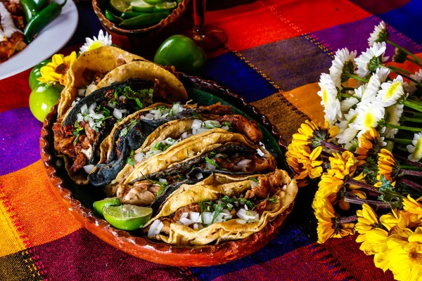 Domuz eti carnitas tacos sarı ve mavi Mısır tortilla renkli tablo içinde