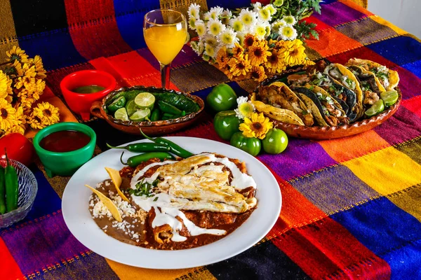 Mole enchiladas with chicken, Mexican food on colorful table