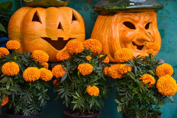 Cadılar Bayramı arka plan kabaklar ve marigolds