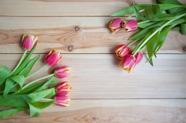 De nombreuses tulipes sur la table ci-dessus — Photo