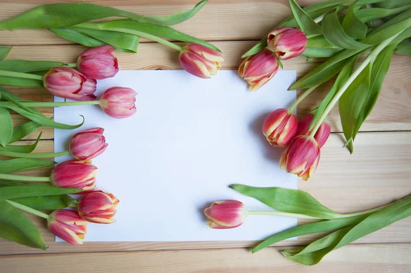 De nombreuses tulipes sur la table ci-dessus — Photo