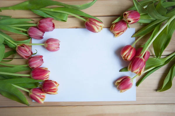 De nombreuses tulipes sur la table ci-dessus — Photo