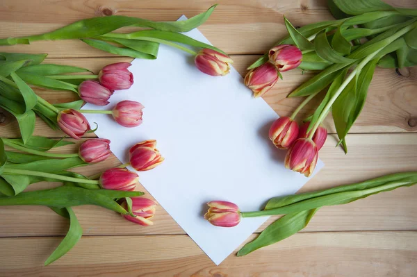 De nombreuses tulipes sur la table ci-dessus — Photo