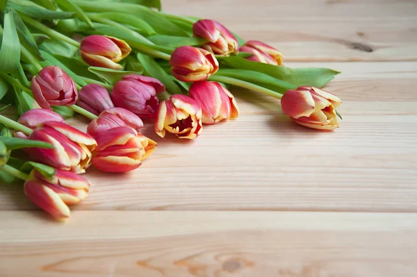 Muchos tulipanes en la mesa de arriba —  Fotos de Stock