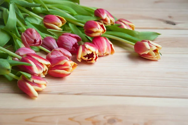 Molti tulipani sul tavolo sopra — Foto Stock