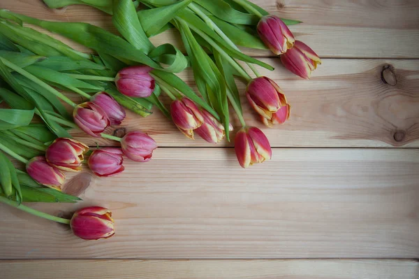 Muchos tulipanes en la mesa de arriba —  Fotos de Stock