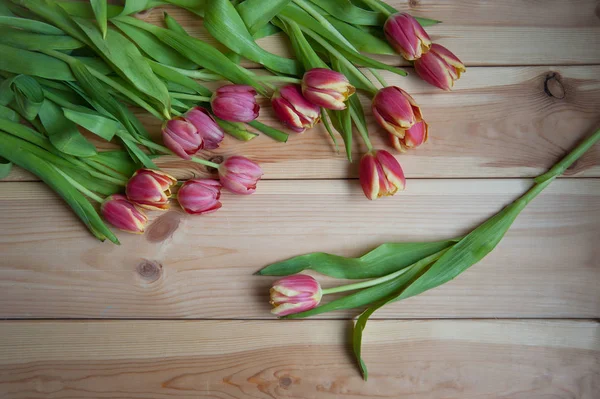 Many tulips on the table above — Stock Photo, Image