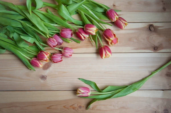 Molti tulipani sul tavolo sopra — Foto Stock