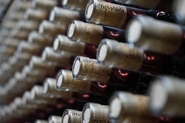 Almacenamiento Vino Bodega Vino Collection Wine Expectativa — Foto de Stock
