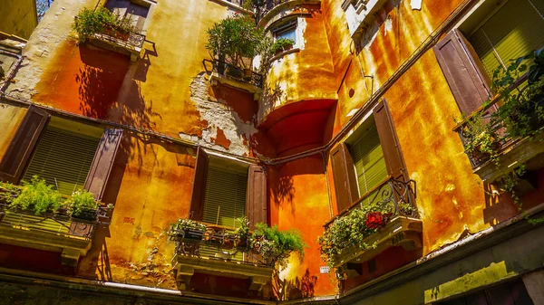 Yeşil güzel bitki ve parlak renkler ile balkon dekorasyon: eski konut turuncu evi Venedik tarihi İlçesi yaz yatay fotoğrafı