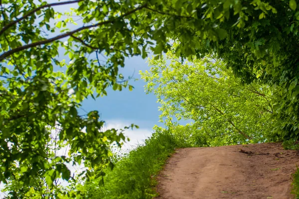 Bulutlar Kolomenskoye Park, Rusya, Moskova ile yol, ağaçlar ve mavi gökyüzünün güzel manzara