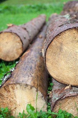 Dışarıda yığın günlükleri