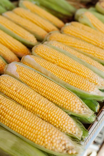 Sweet Corn Market — Stock Photo, Image