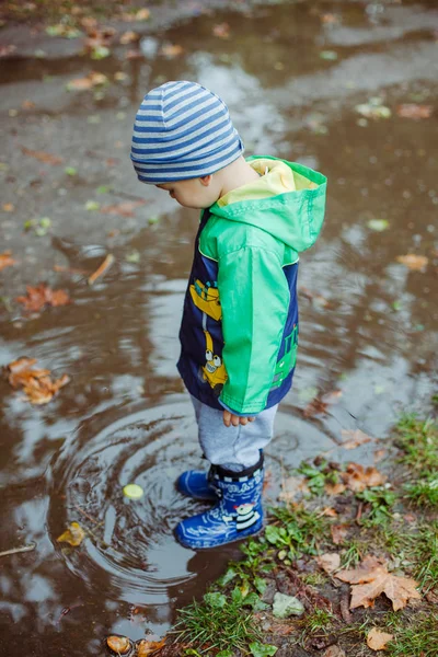 男孩在秋天在水坑里走 — 图库照片