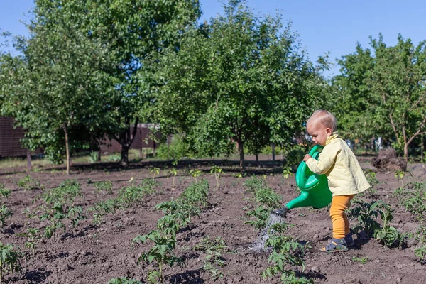 Niño Pequeño Con Una Regadera Jardín — Foto de Stock