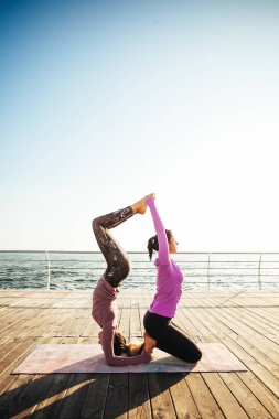 Sabahın köründe sahilde yoga yapan genç kadınlar.