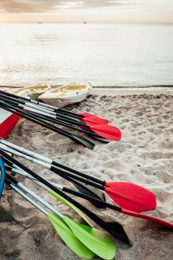 Deniz kanoları suya bağlanmış.