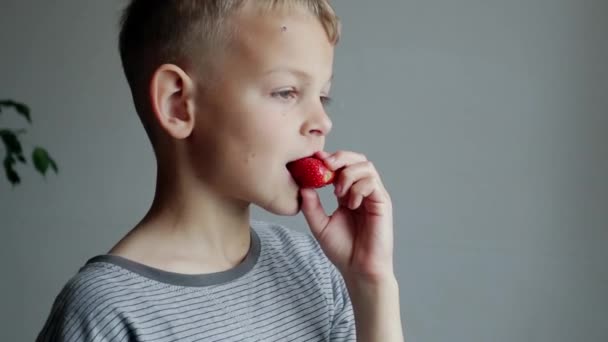 Küçük Çocuk Evde Çilek Yiyor Nedensel Yaşam Biçimi — Stok video