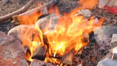 Ormanda ateş. Güzel alev