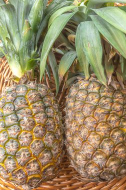 Tw ananas bir tablo açık havada dikey pozisyonda portre modunda parlak güneşli güneş tutulması