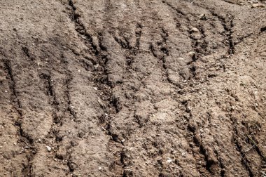 Dokular toprakta sonucunda geliştirilen yağmur su erozyonu
