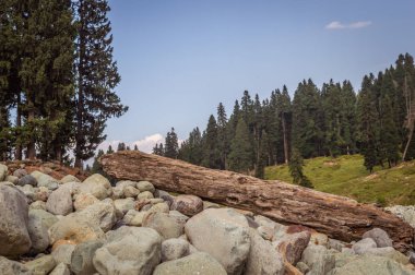 Ahşap Doodhpathri, Kaşmir bir manzarada bir nehir yatağında yuvarlak kayalar geniş alanında bir günlük